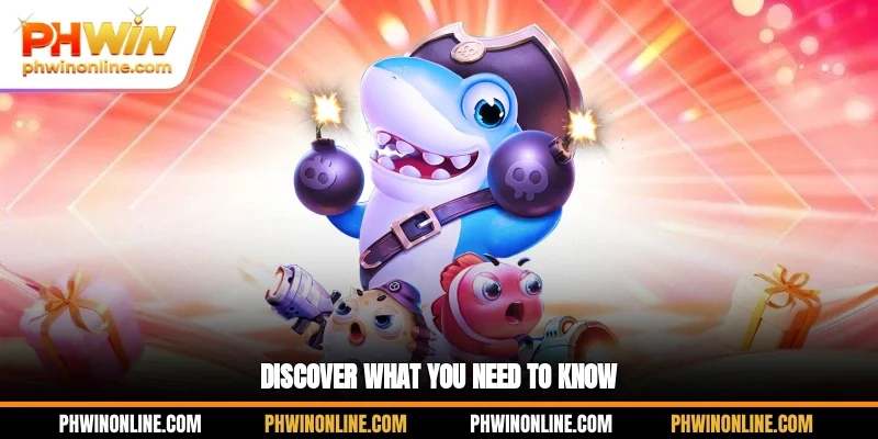 Discover what you need to know